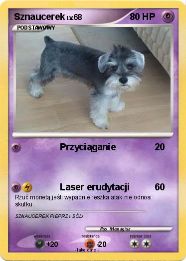 Pokemon Sznaucerek