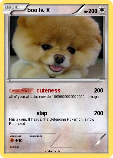Pokemon boo lv. X