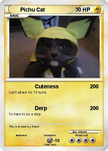 Pokemon Pichu Cat