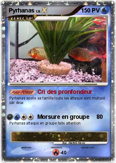 Pokemon Pyrhanas
