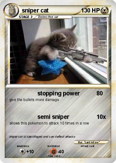 Pokemon sniper cat