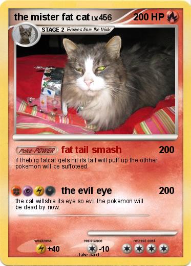 Pokemon the mister fat cat
