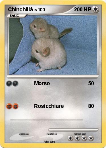 Pokemon Chinchillà