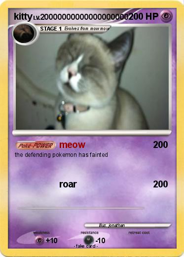 Pokemon kitty