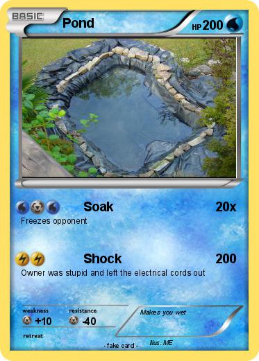 Pokemon Pond