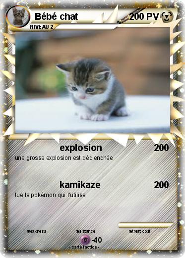 Pokemon Bébé chat