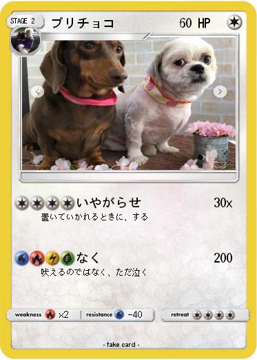 Pokemon プリチョコ