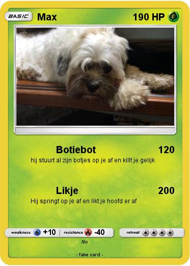 Pokemon Max