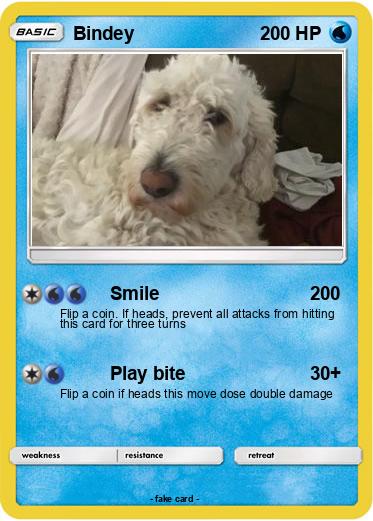 Pokemon Bindey