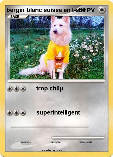 Pokemon berger blanc suisse en t-shirt