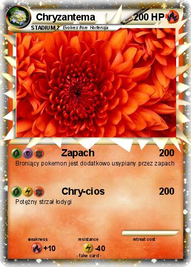 Pokemon Chryzantema
