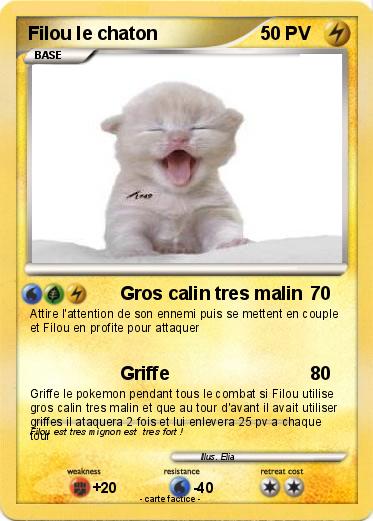 Pokemon Filou le chaton