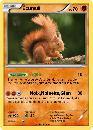 Pokemon Écureuil