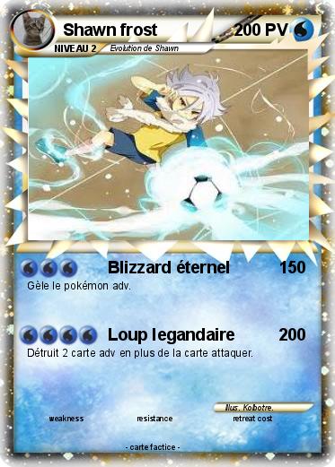 Pokemon Shawn frost