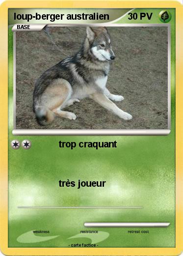 Pokemon loup-berger australien