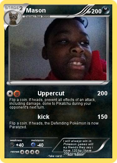 Pokemon Mason
