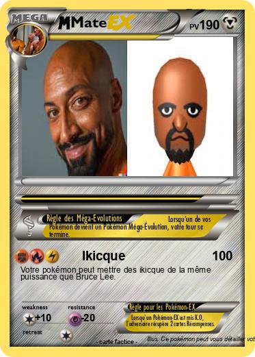 Pokemon Mate