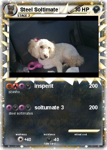 Pokemon Steel Soltimate