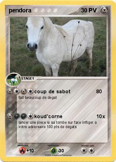 Pokemon pendora