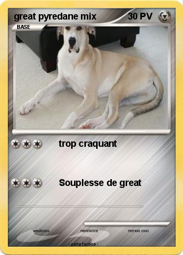 Pokemon great pyredane mix