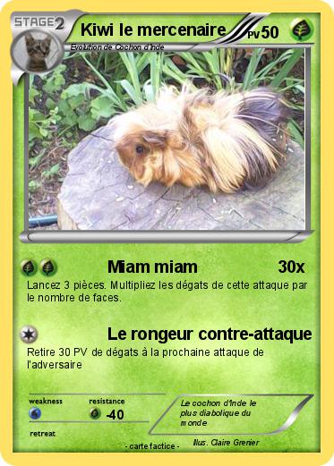Pokemon Kiwi le mercenaire