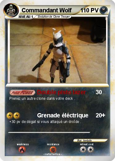 Pokemon Commandant Wolf