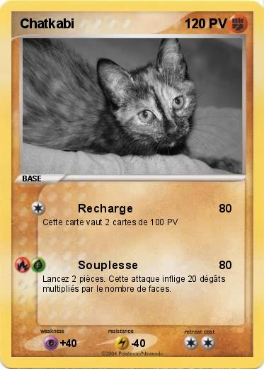 Pokemon Chatkabi