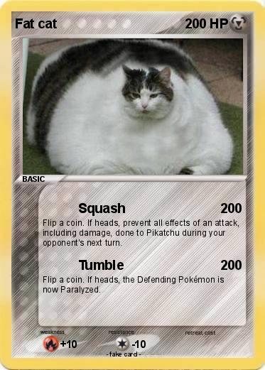Pokemon Fat cat
