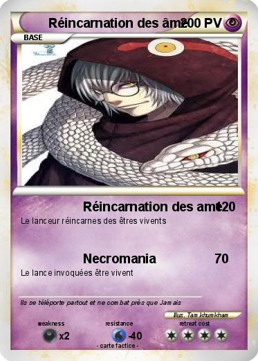 Pokemon Réincarnation des âme