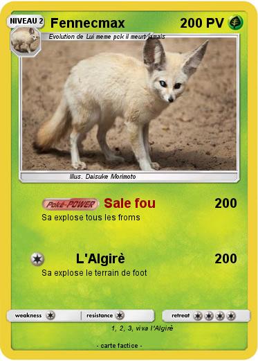 Pokemon Fennecmax