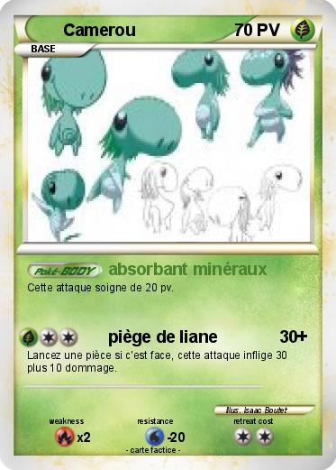 Pokemon Camerou