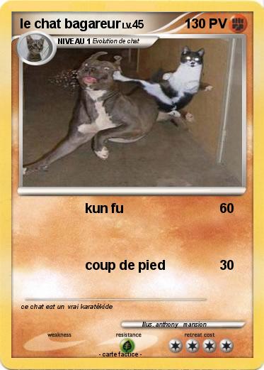Pokemon le chat bagareur