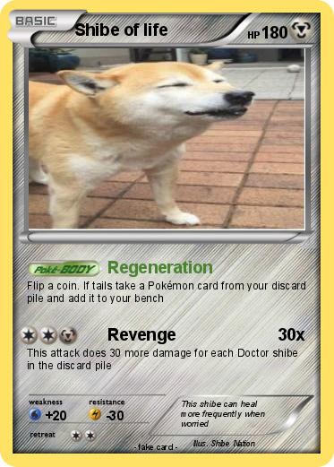 Pokemon Shibe of life