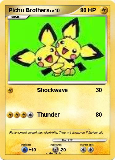 Pokemon Pichu Brothers