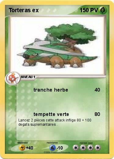 Pokemon Torteras ex 