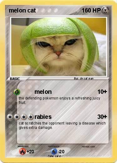 Pokemon melon cat