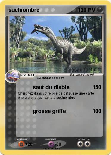 Pokemon suchiombre