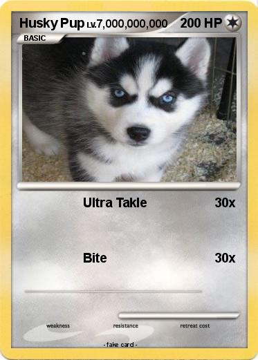 Pokemon Husky Pup