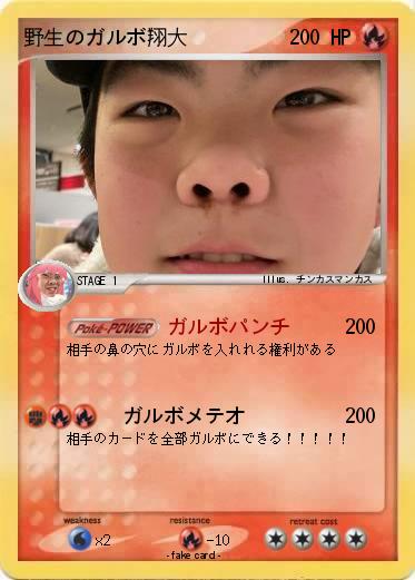 Pokemon 野生のガルボ翔大
