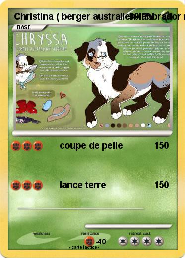 Pokemon Christina ( berger australien-labbrador mix )