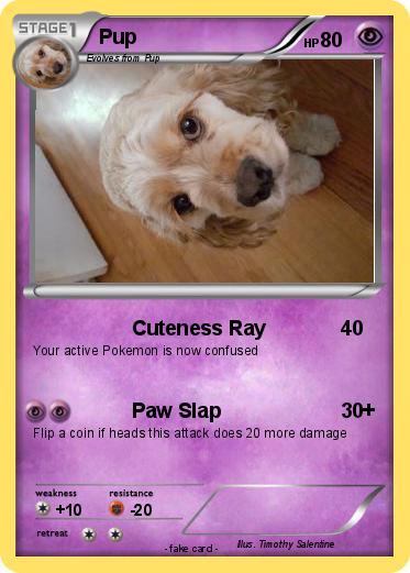 Pokemon Pup
