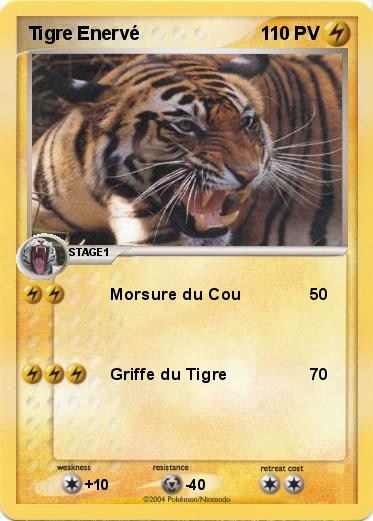 Pokemon Tigre Enervé