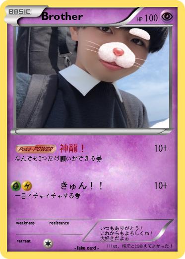 Pokemon Brother