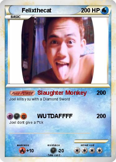 Pokemon Felixthecat