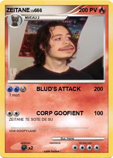Pokemon ZEITANE