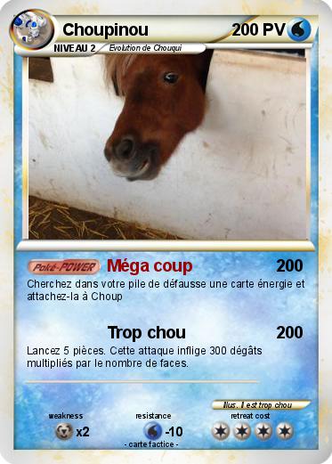 Pokemon Choupinou