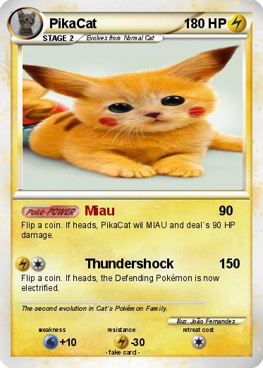 Pokemon PikaCat