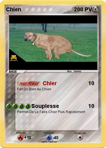 Pokemon Chien
