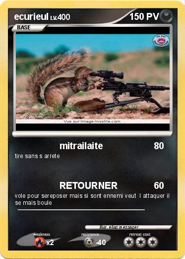 Pokemon ecurieul