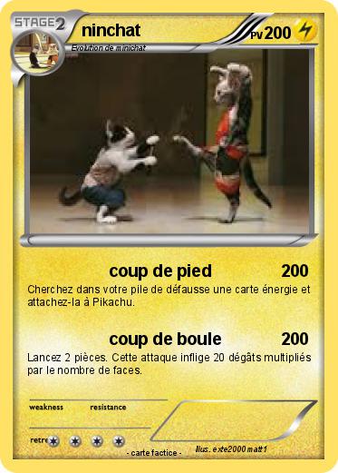Pokemon ninchat